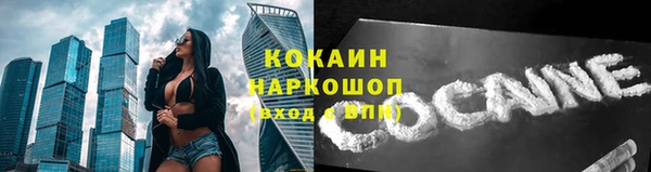 трава Инта