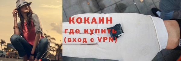трава Инта