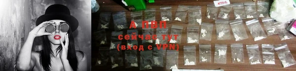 ГАЛЛЮЦИНОГЕННЫЕ ГРИБЫ Каменка