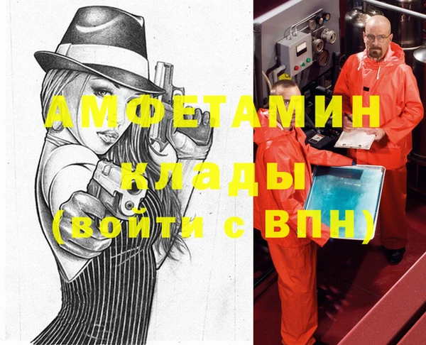 трава Инта