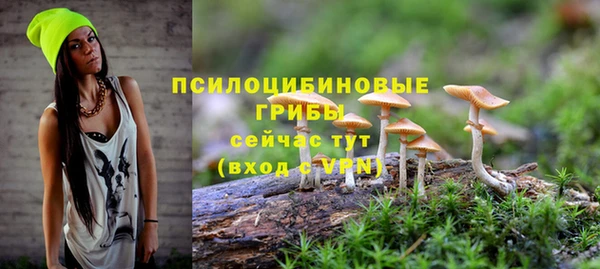кокаин колумбия Каменногорск