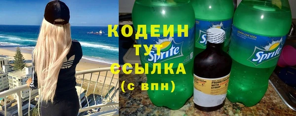 трава Инта