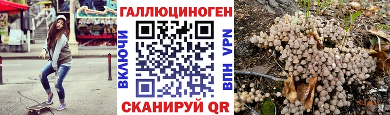 Псилоцибиновые грибы Psilocybine cubensis  Купить  Макушино 